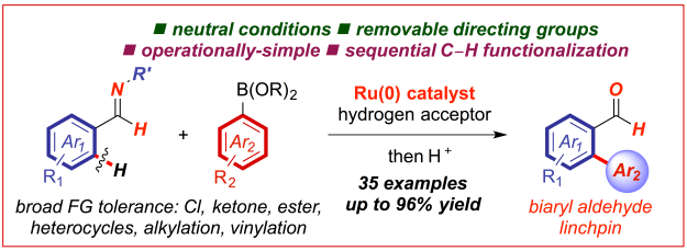 Feng-OL-imines
