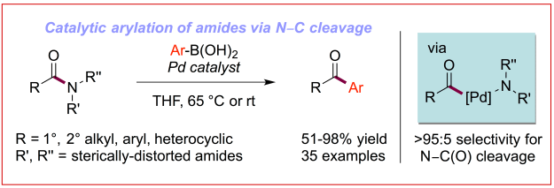 Meng-OL-Suzuki-abstract