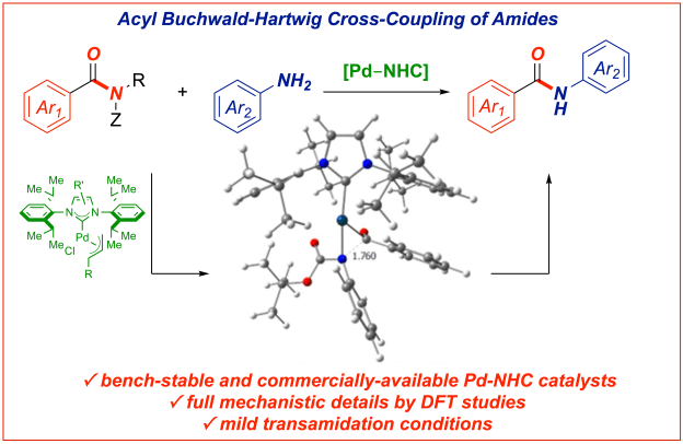 Amide transamidation