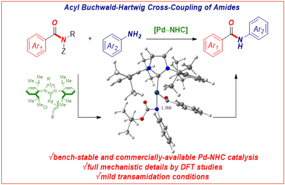 Amide transamidation