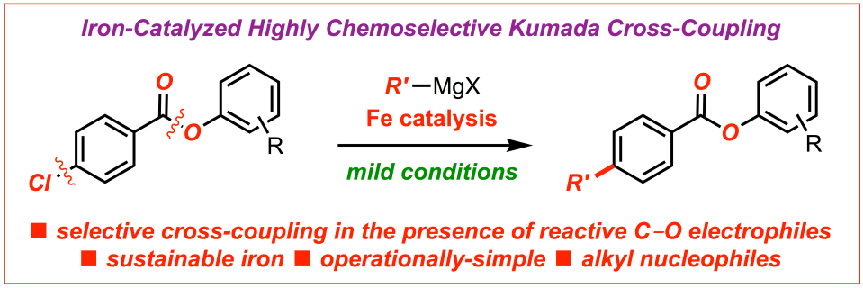 Iron-catalyzed Kumada cross-coupling