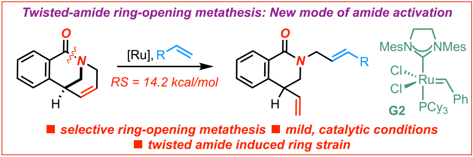 Twisted amide olefin metathesis