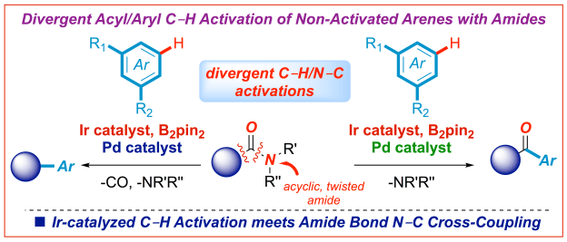 Iridium C-H activation and amide bond cross-coupling