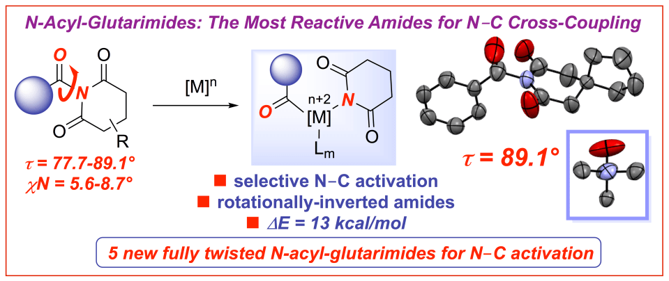 N-acyl-glutarimides-the most reactive twisted amides