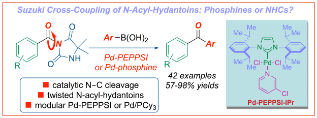 Suzuki cross-coupling of amides N-acyl-hydantoins