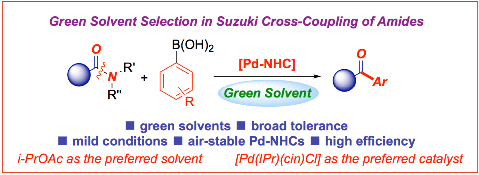 Green solvent selection amide bond Suzuki cross-coupling