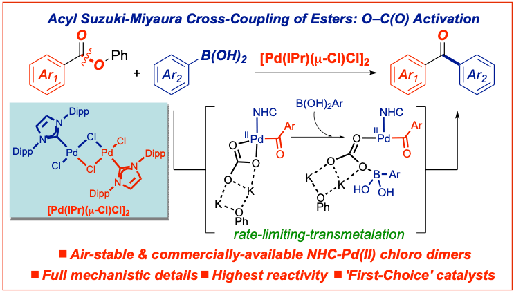 Acyl Suzuki Esters-Palladium Chloro Dimer-Ctl Sci Technol-2021
