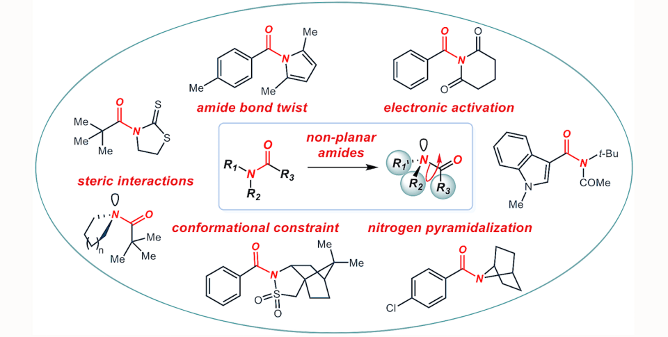 amides_twisted_amides_Szostak_Chemical_Reviews_2021