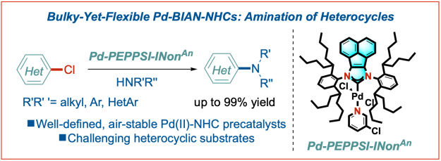 Buchwald-Hartwig-amination-heterocycles-bulky-yet-flexible-BIAN-CEJ-2022