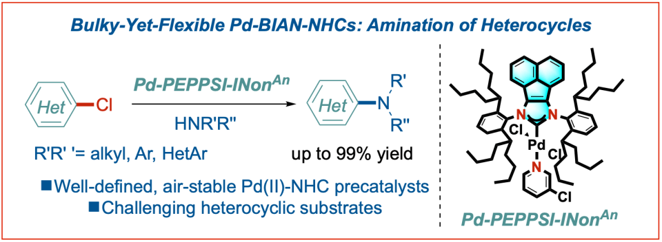Buchwald-Hartwig-amination-heterocycles-bulky-yet-flexible-BIAN-CEJ-2022