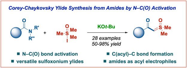 Corey-Chaykovsky-Amides-Ylides-OL-2021
