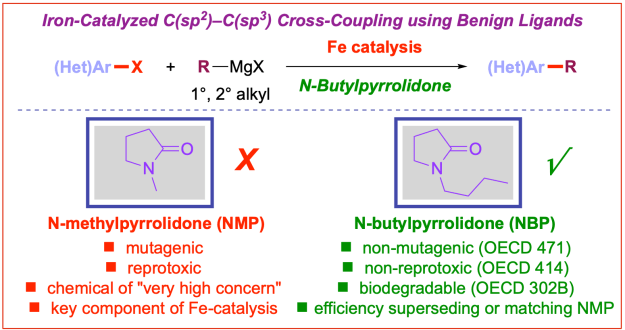 N-Butyl-pyrrolidine-iron-catalyzed-cross-coupling-GC-2021