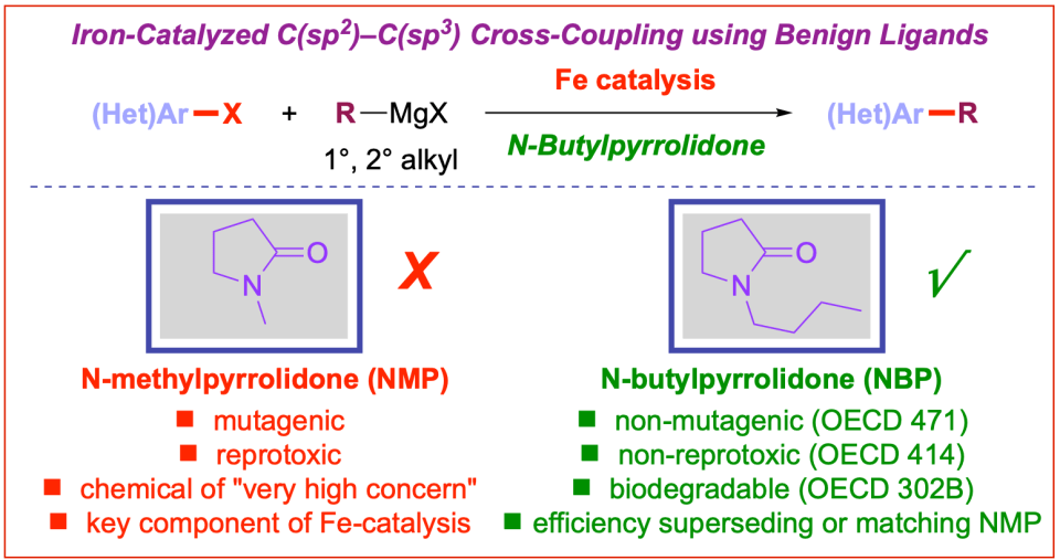 N-Butyl-pyrrolidine-iron-catalyzed-cross-coupling-GC-2021