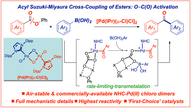 Shiyi-Suzuki-esters-acyl-palladium-chloro-dimer-Ctl-Sci-Technol-2021