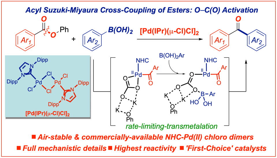 Shiyi-Suzuki-esters-acyl-palladium-chloro-dimer-Ctl-Sci-Technol-2021