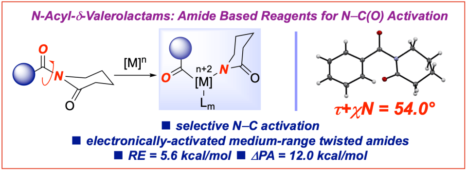 Valerolactams-reagents-for-amide-bond-activation-JOC-2021