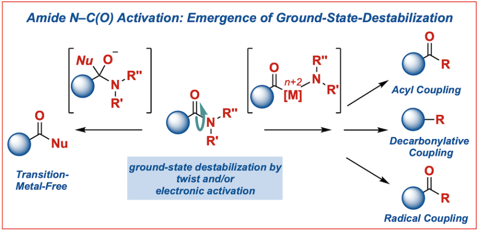 Amide bond activation-emergence of ground-state-destabilization