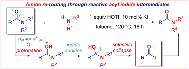 Amide rerouting through acyl iodides transamidation