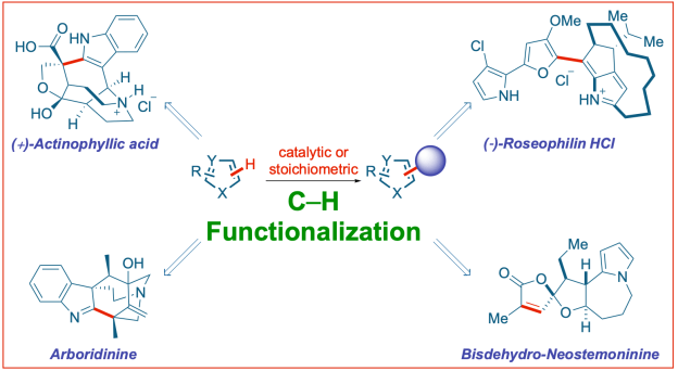 C-H-activation-natural-product-synthesis-heterocycles