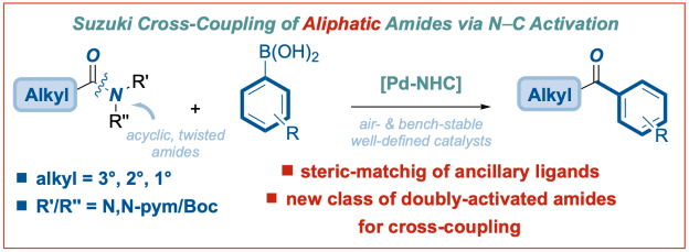 Cross-coupling-of-aliphatic-amides