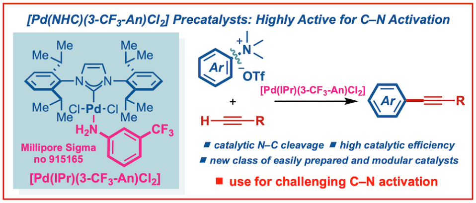 Palladium-aniline-NHC-catalysts-C-N-cross-coupling