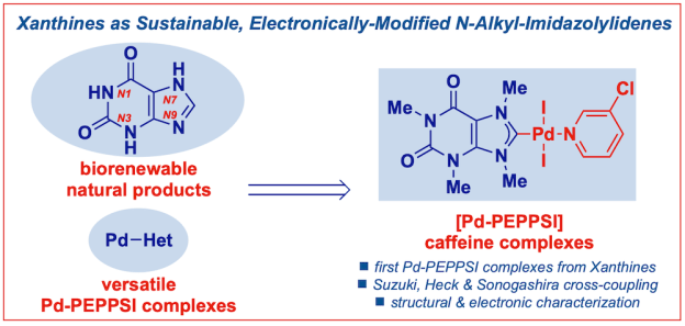 Pd−PEPPSI N-Heterocyclic Carbene Complexes from Caffeine