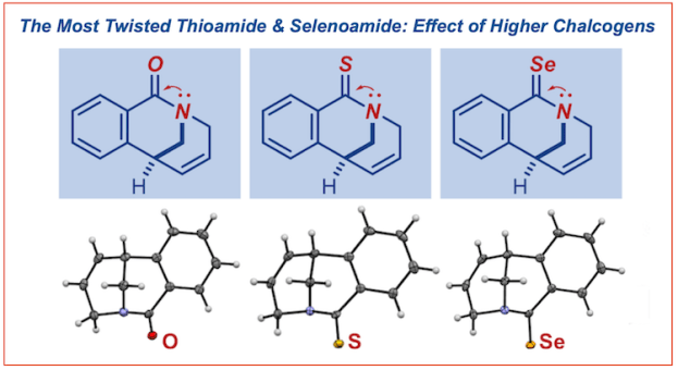 The Most Twisted Thioamide and Selenoamide Effect of Higher Chalcogens