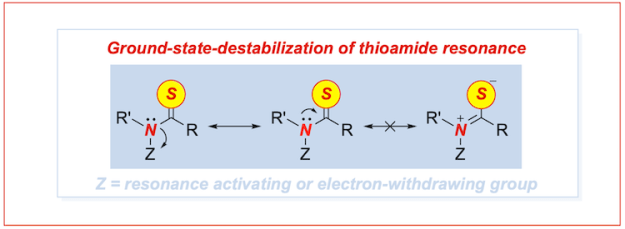 Thioamide-transamidation-ground-state-destabilization
