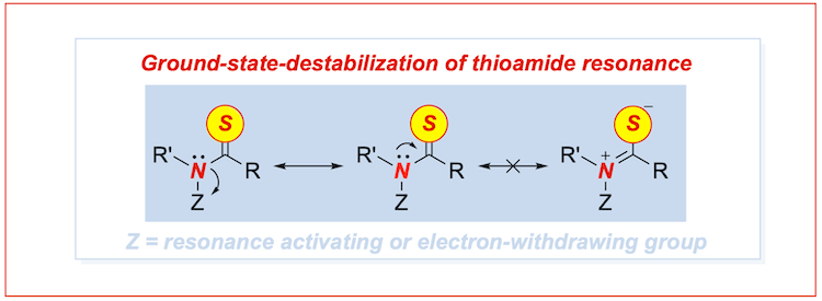 Thioamide-transamidation-ground-state-destabilization