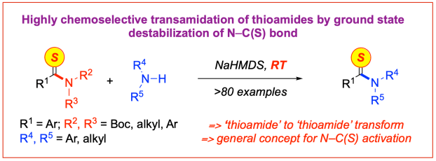 thioamide-transamidation