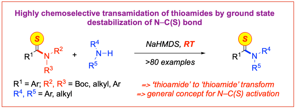 thioamide-transamidation