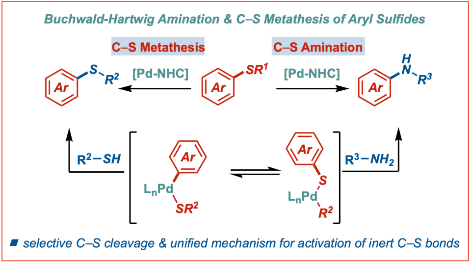 Buchwald-Hartwig-Amination-and-C–S-Metathesis-Aryl-Sulfides-Poater-Nolan-Szostak-2022