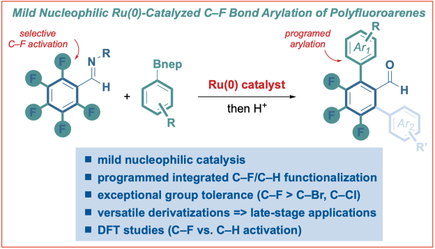 C-F-activation-ruthenium-catalysis-polyfluoroarenes-fluorine-activation-Zhang-Szostak-2022