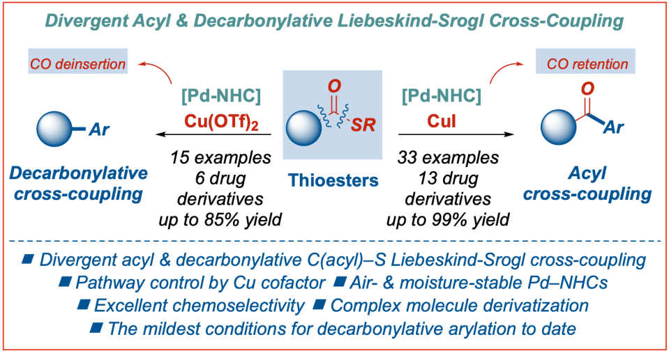 Divergent-Acyl-Decarbonylative-Thioester-Liebeskind-Srogl-Cross-Coupling-Szostak-2023