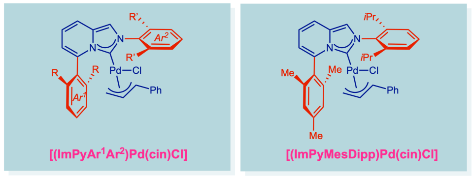 ImPy-Pd-cin-NHC-mimics-Buchwald-biarylphosphines-Szostak-group