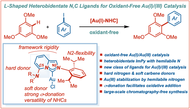 L-shaped-amino-carbene-heterobidentate-ImPy-ligands-oxidant-free-gold-catalysis-C-H-activation-Zhang-Szostak-2023