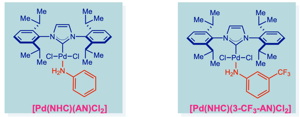 Palladium-NHC-aniline-catalysts-Szostak-group