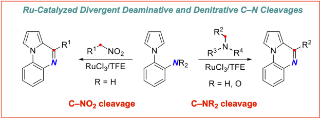 Ruthenium-divergent-deaminative-denitrative-cleavage-Liu-Szostak-2023