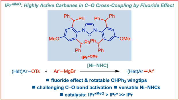 Sterically-bulky-IPr-star-methoxy-n-heterocyclic-carbenes-C-O-cross-coupling-nickel-catalysis-Bisz-Szostak-2022
