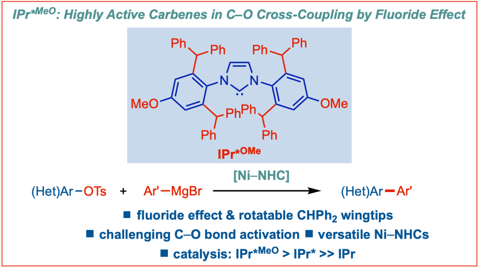 Sterically-bulky-IPr-star-methoxy-n-heterocyclic-carbenes-C-O-cross-coupling-nickel-catalysis-Bisz-Szostak-2022