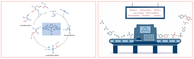 Hydration-reactions-ring-expanded-N-heterocyclic-carbenes