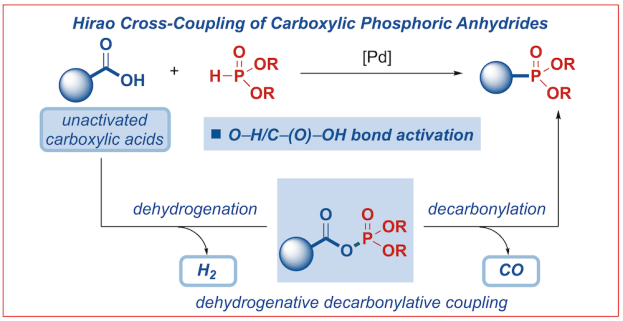 254-decarbonylative phosphorylation-Hirao-mechanism copy