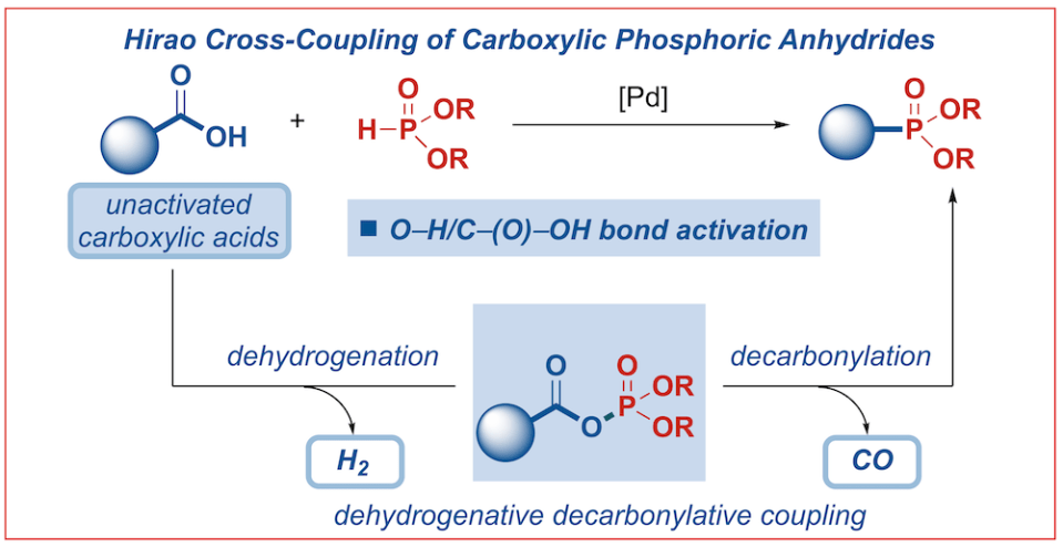 254-decarbonylative phosphorylation-Hirao-mechanism copy