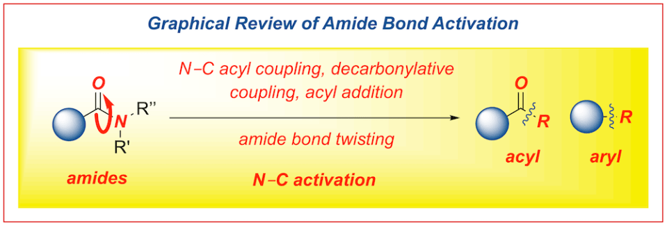 255-graphical review amide bond activation