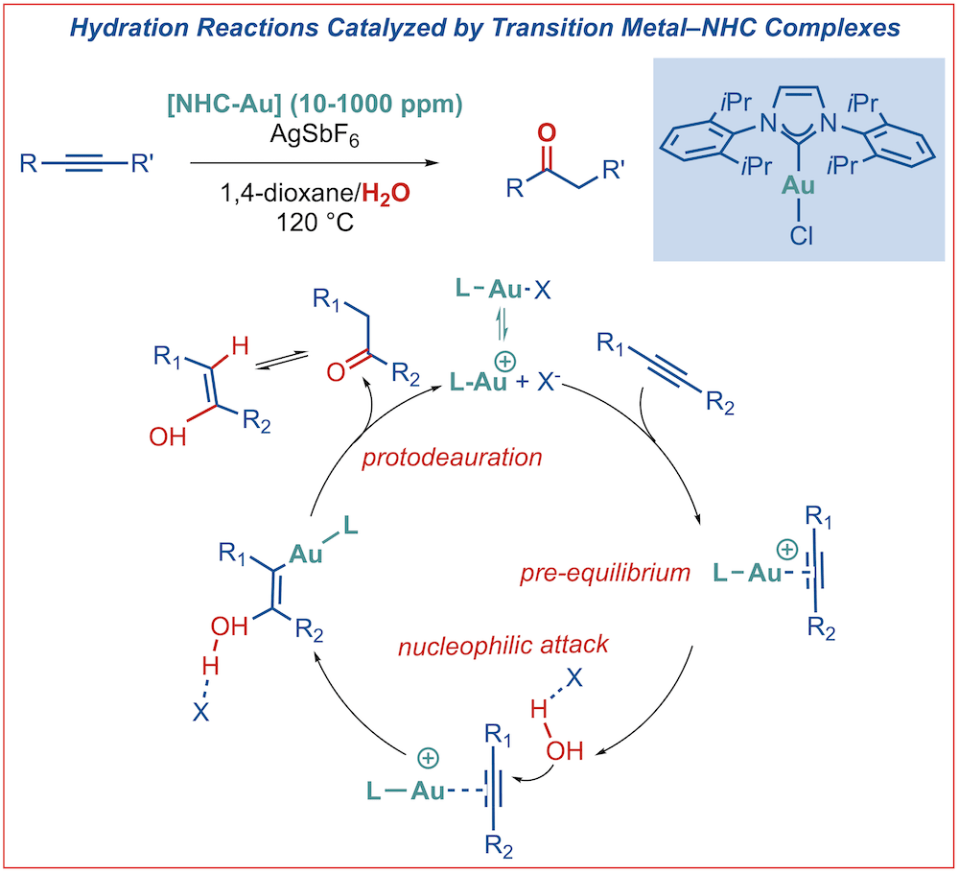 257-Hydration reactions catalyzed by N-heterocyclic carbene metal complexes