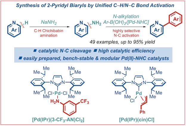 260-Suzuki-Aryl-Ammonium Salts