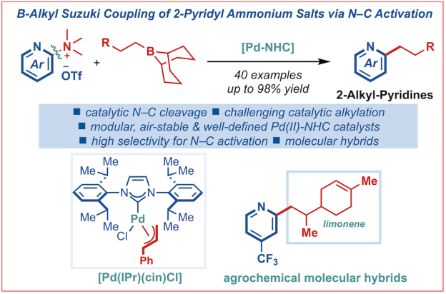273-Alkyl-Suzuki-Ammonium Salts
