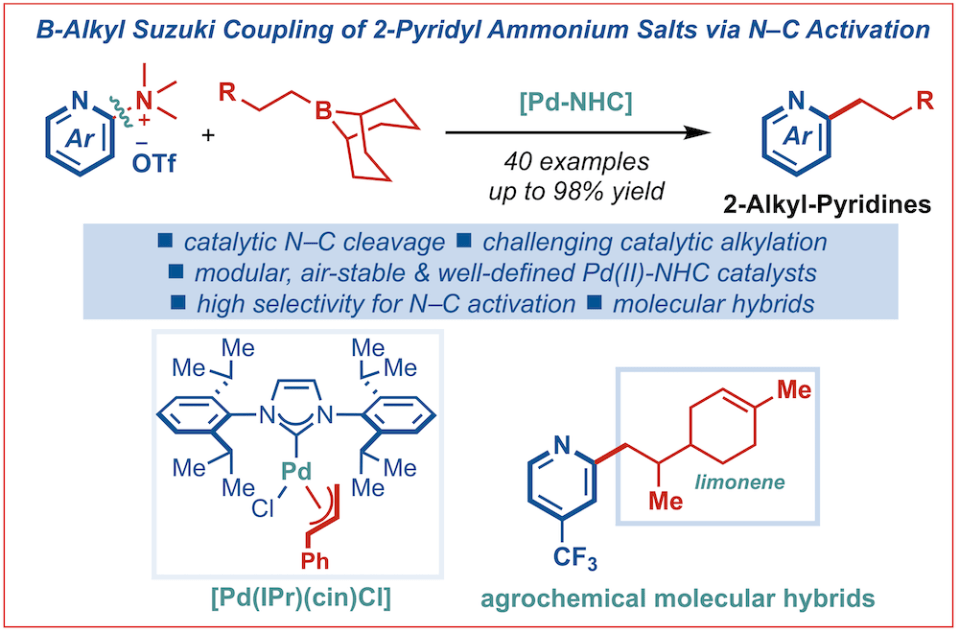 273-Alkyl-Suzuki-Ammonium Salts