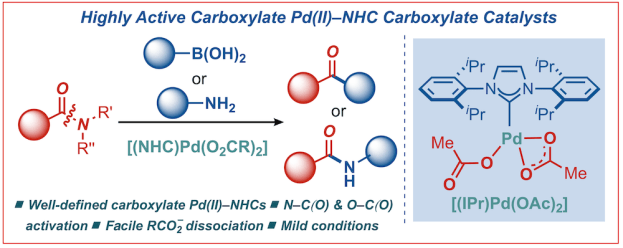 275-Carboxylate-NHC-catalysts