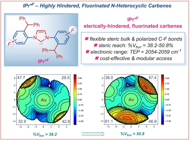 281-Fluorinated-N-heterocyclic carbene ligands